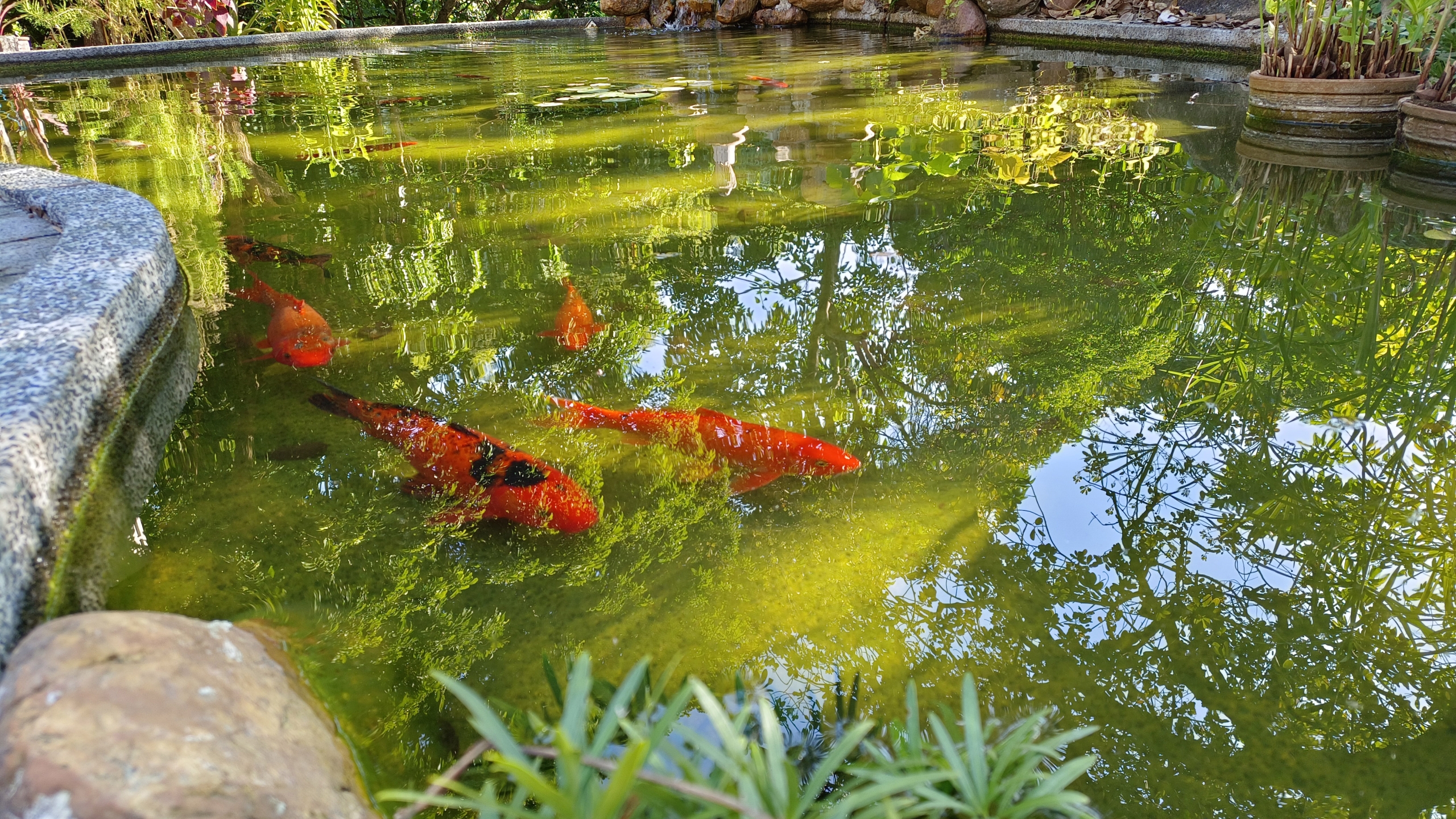 首頁