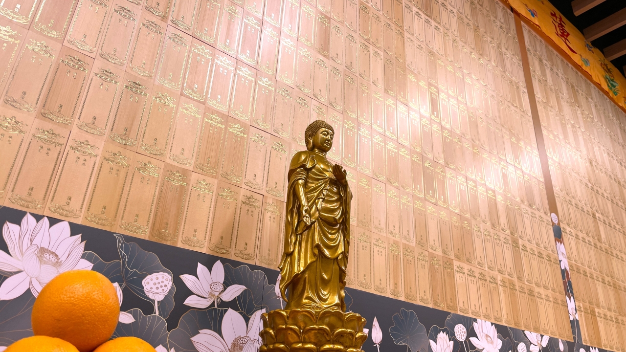 普光明寺全年附薦服務