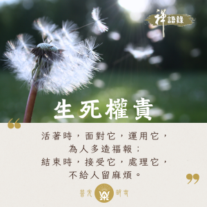 生死權責