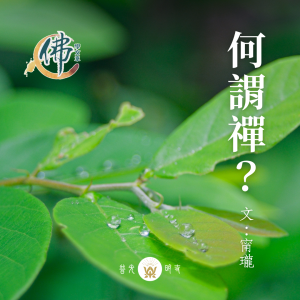 何謂禪？